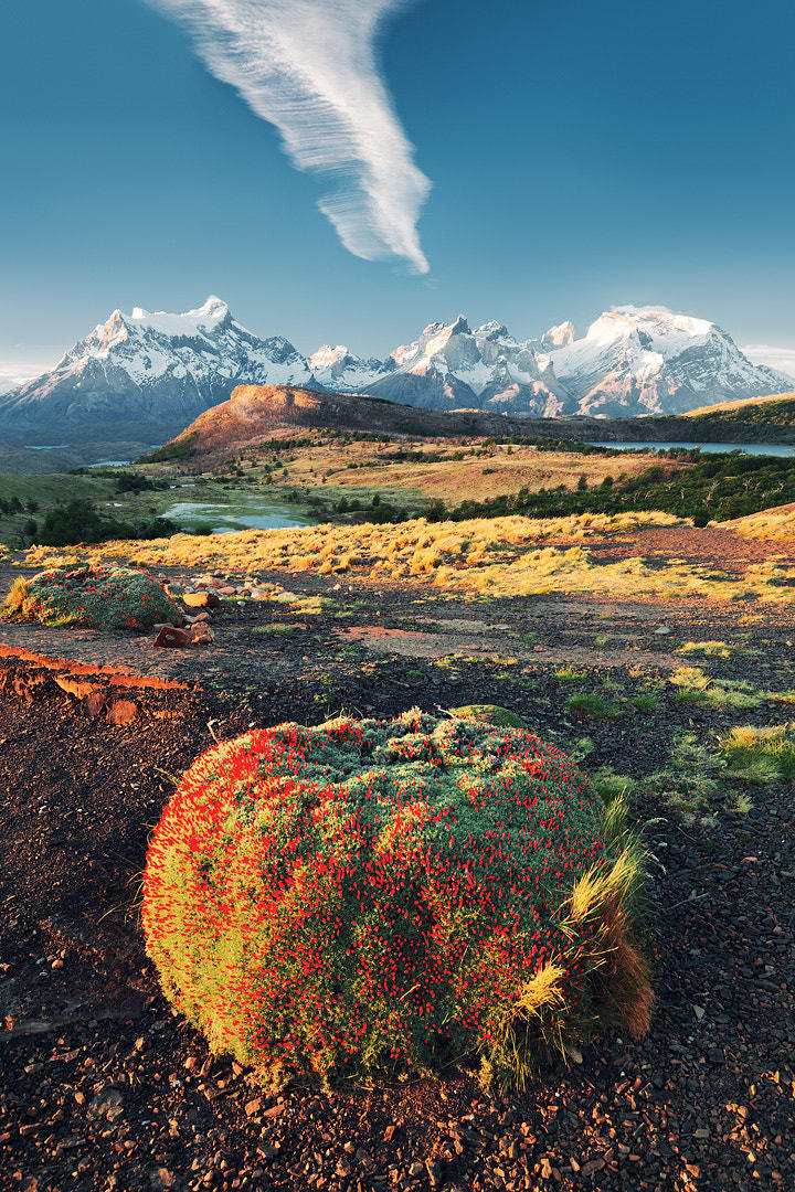 Cordillera mountains, Chile - The photo, The mountains, Nature, beauty, Landscape, Chile