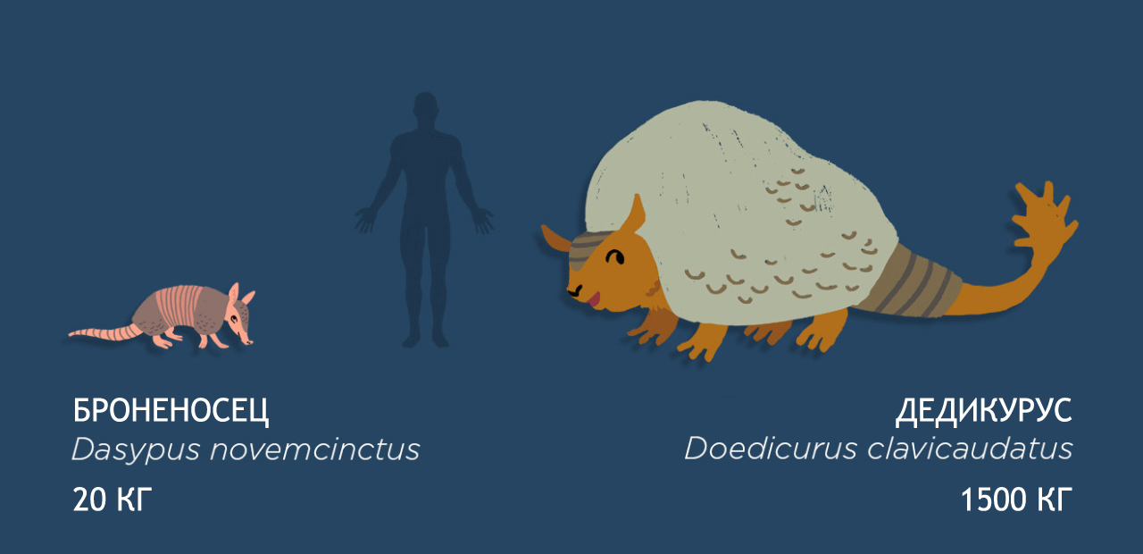 Размеры доисторической мегафауны по сравнению с современными животными. - Мегафауна, Доисторические животные, Видео, Длиннопост, Палеонтология