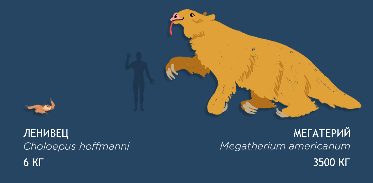 Размеры доисторической мегафауны по сравнению с современными животными. - Мегафауна, Доисторические животные, Видео, Длиннопост, Палеонтология