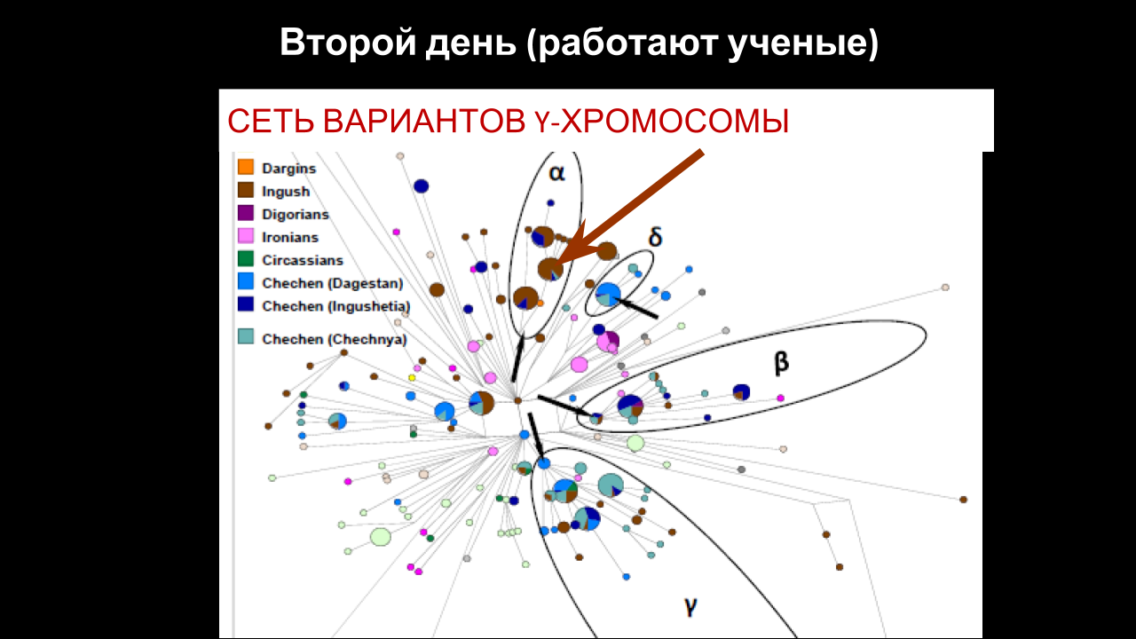 Circassian Circle Схема