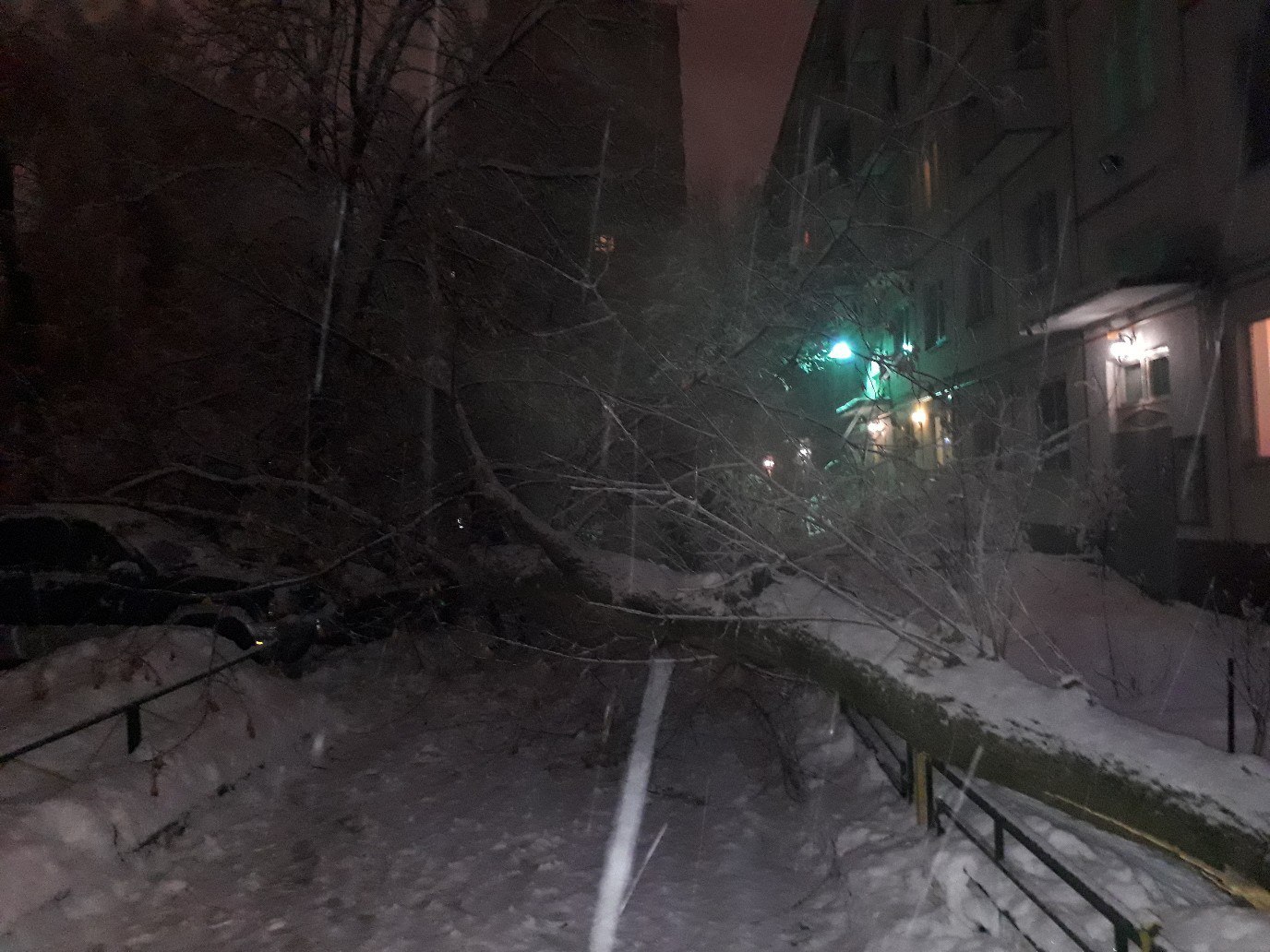 Упало дерево на машину - Моё, Задолбали, ДТП, Москва, Помощь, Длиннопост