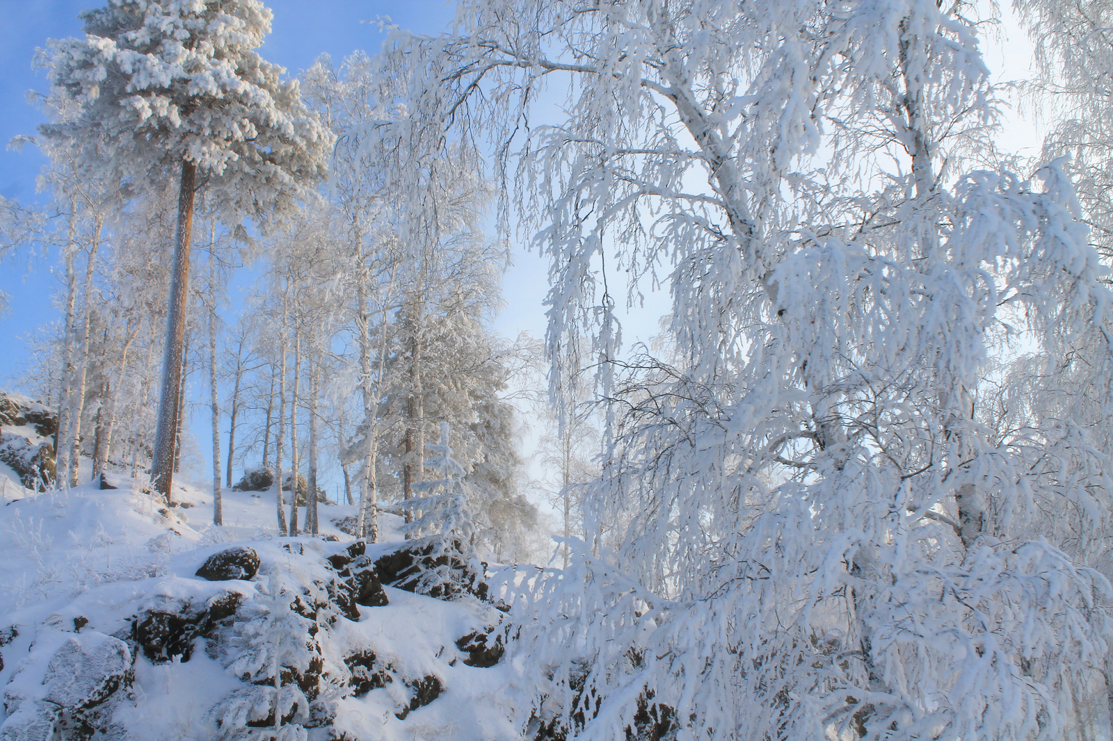 Mount Ezhovaya, part 3 - My, , The photo, Landscape, Winter, Longpost