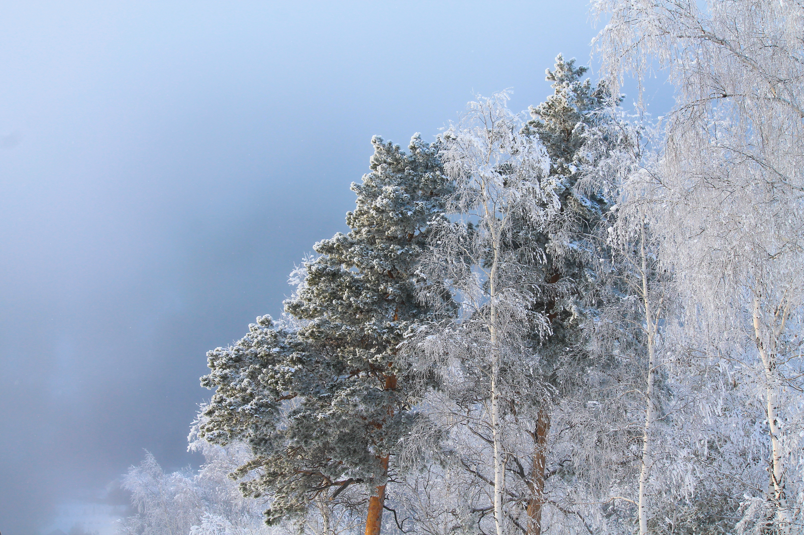 Mount Ezhovaya, part 3 - My, , The photo, Landscape, Winter, Longpost