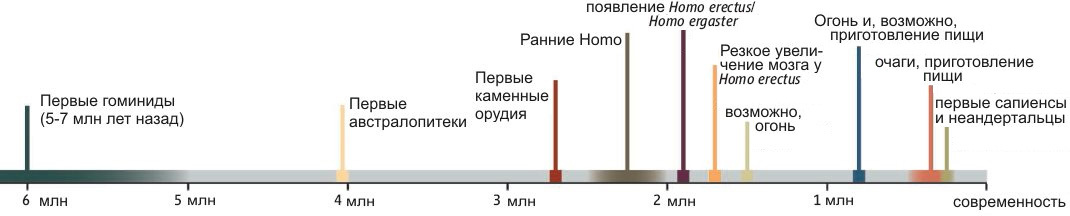 Who and where did he come from. Start. - My, Homo sapiens, First people, , , , , Longpost, Europe, Wheat