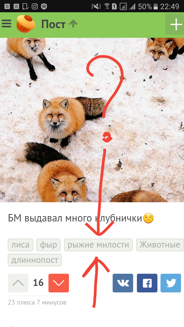 What's this? Why so?!!! - My, Milota, Russian language, Resentment, Illiteracy, Longpost