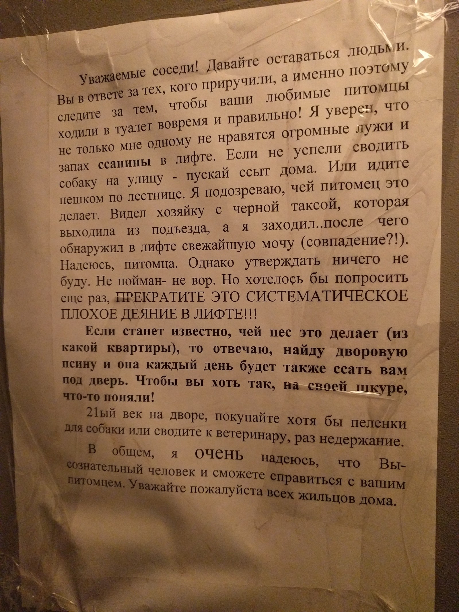 In one of the elevators in St. Petersburg - My, Saint Petersburg, Neighbours