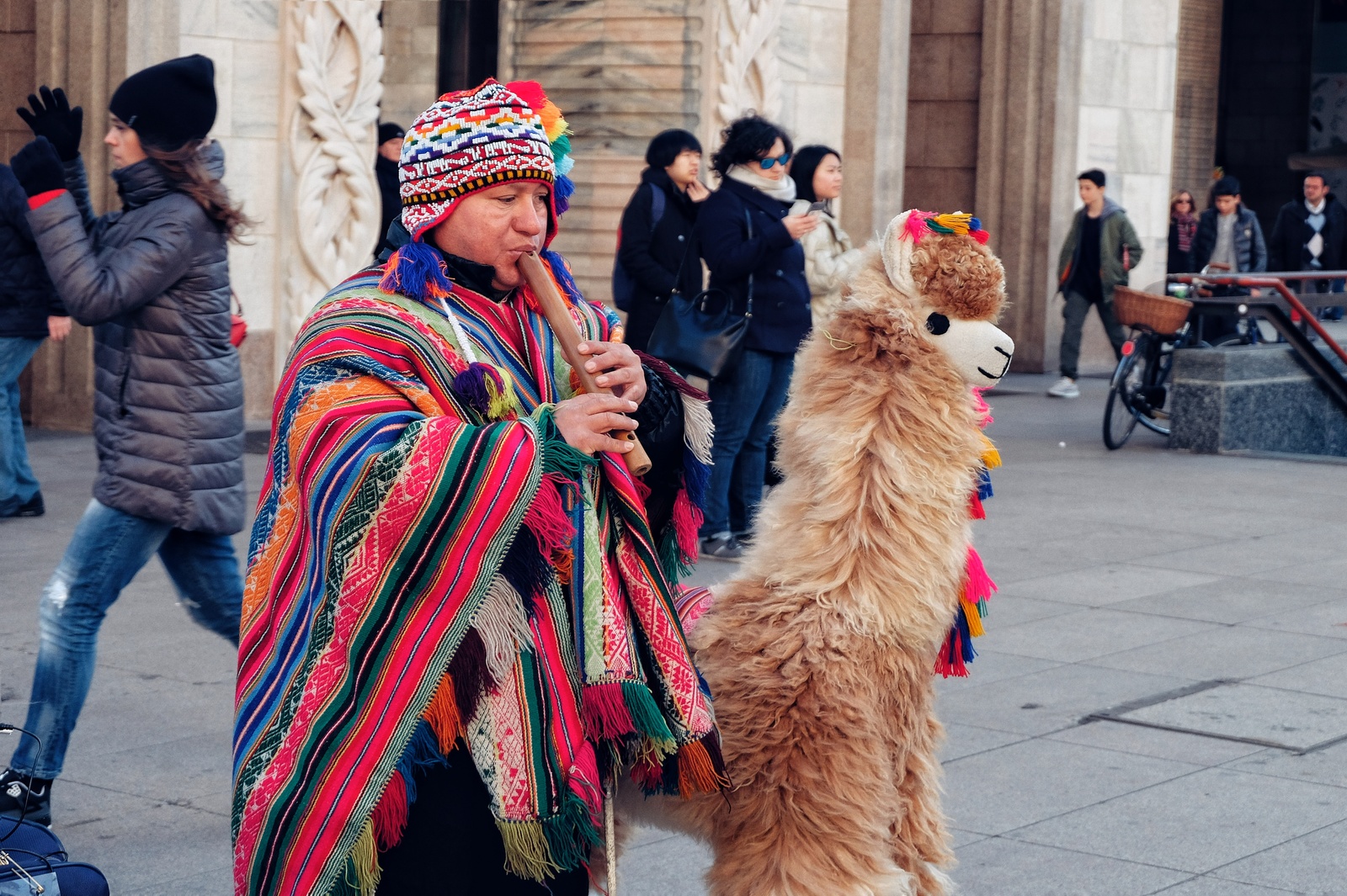 When you don't remember how you got here from the Andean slopes - My, Llama, Toys, Street musicians, Music, The photo, Italy, Travels, Europe