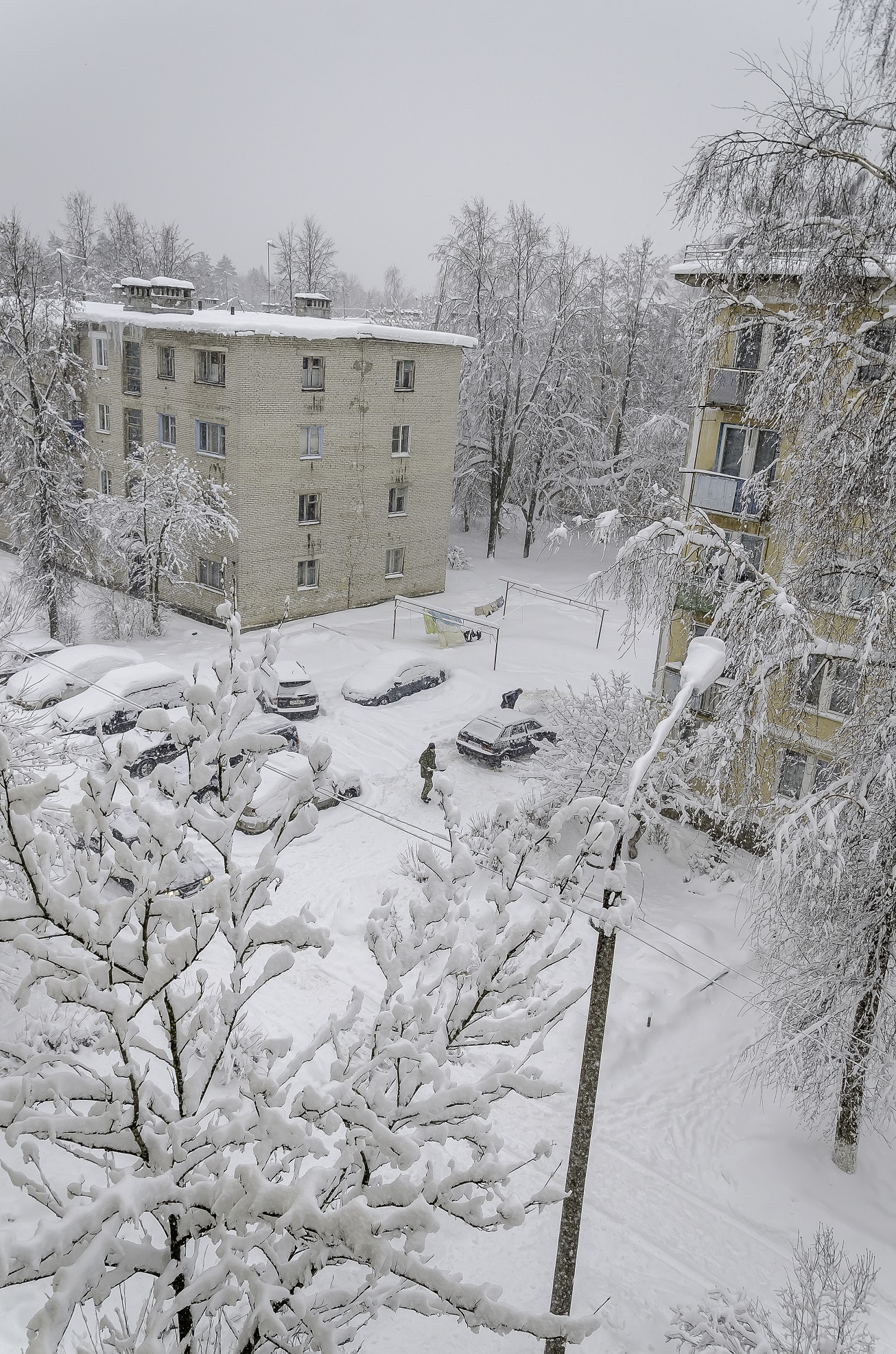 Snowfall in the suburbs - My, Snowfall, Moscow region, Winter, 2018, Longpost