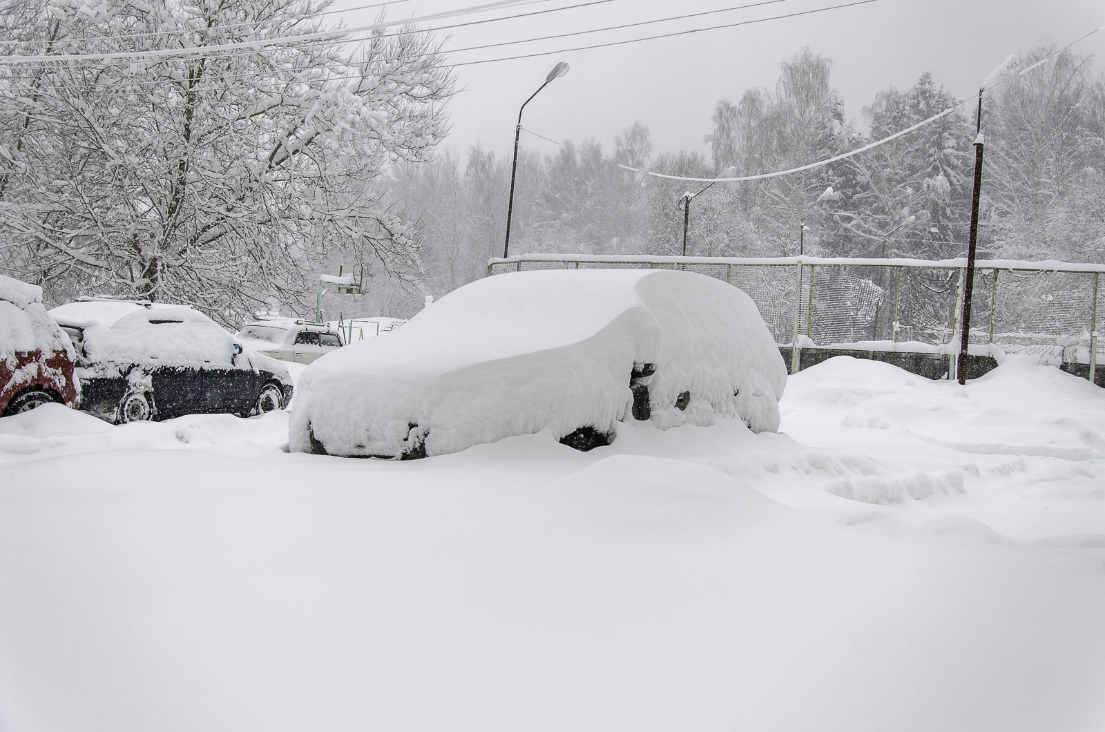 Snowfall in the suburbs - My, Snowfall, Moscow region, Winter, 2018, Longpost