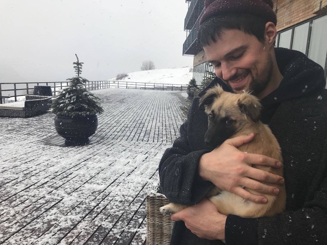 Danila Kozlovsky adopted a homeless puppy - Danila kozlovsky, Dog, , Actors and actresses