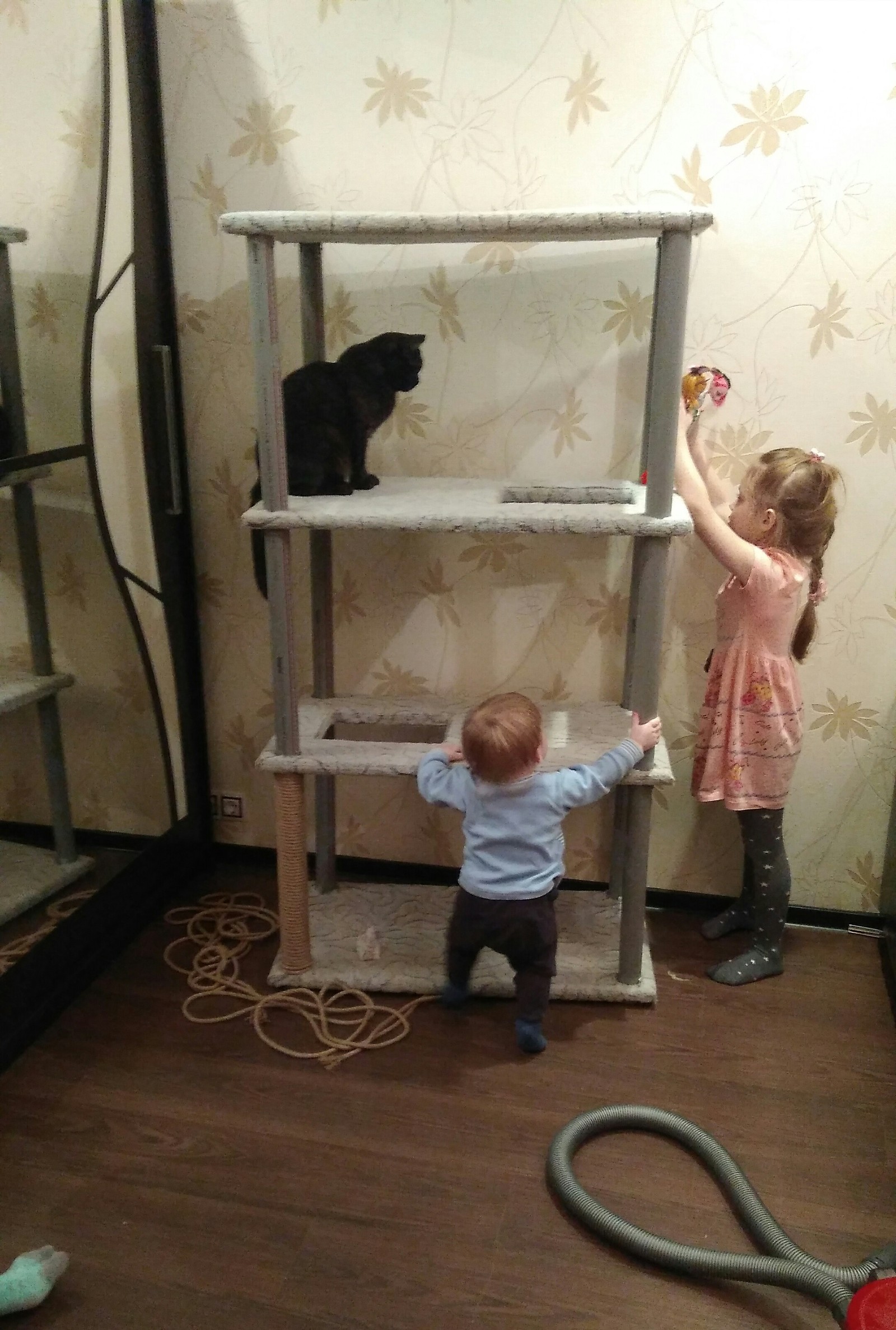 Made for cats... - My, cat, Children, With your own hands