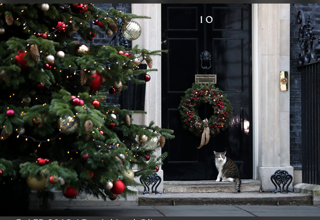 The sanitary service came to Downing Street 40 times because of the inactivity of the cat - cat, Downing Street, Риа Новости, , Mayor, Great Britain, Prime Minister