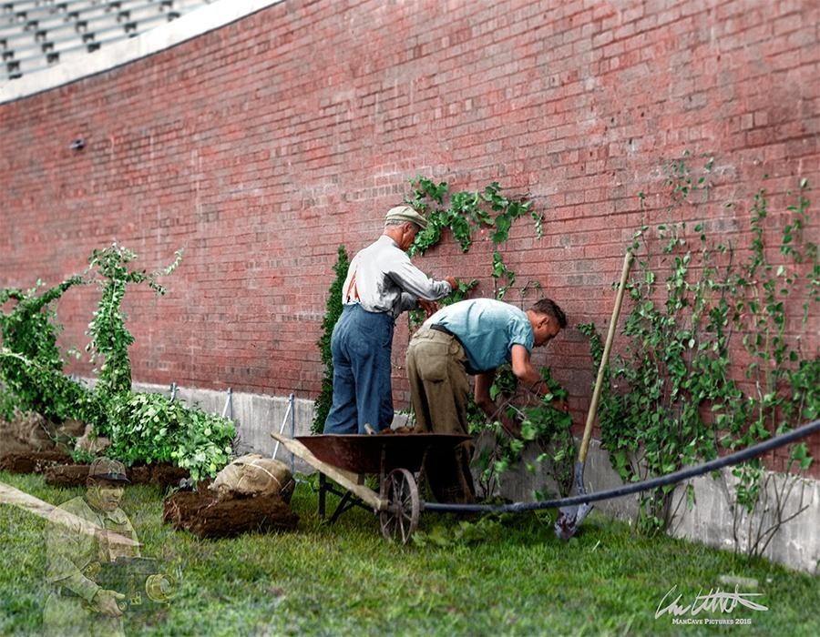 History in color - The photo, Colorization, Longpost