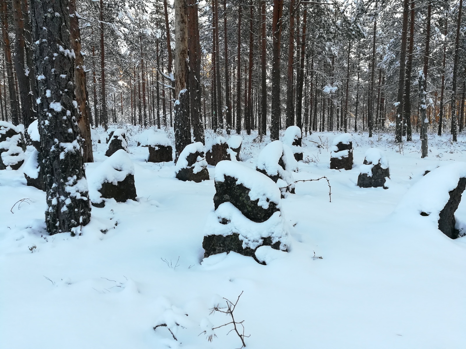 Озеро Желанное, линия Маннергейма - Моё, Снег, Линия Маннергейма, Карельский перешеек, Длиннопост