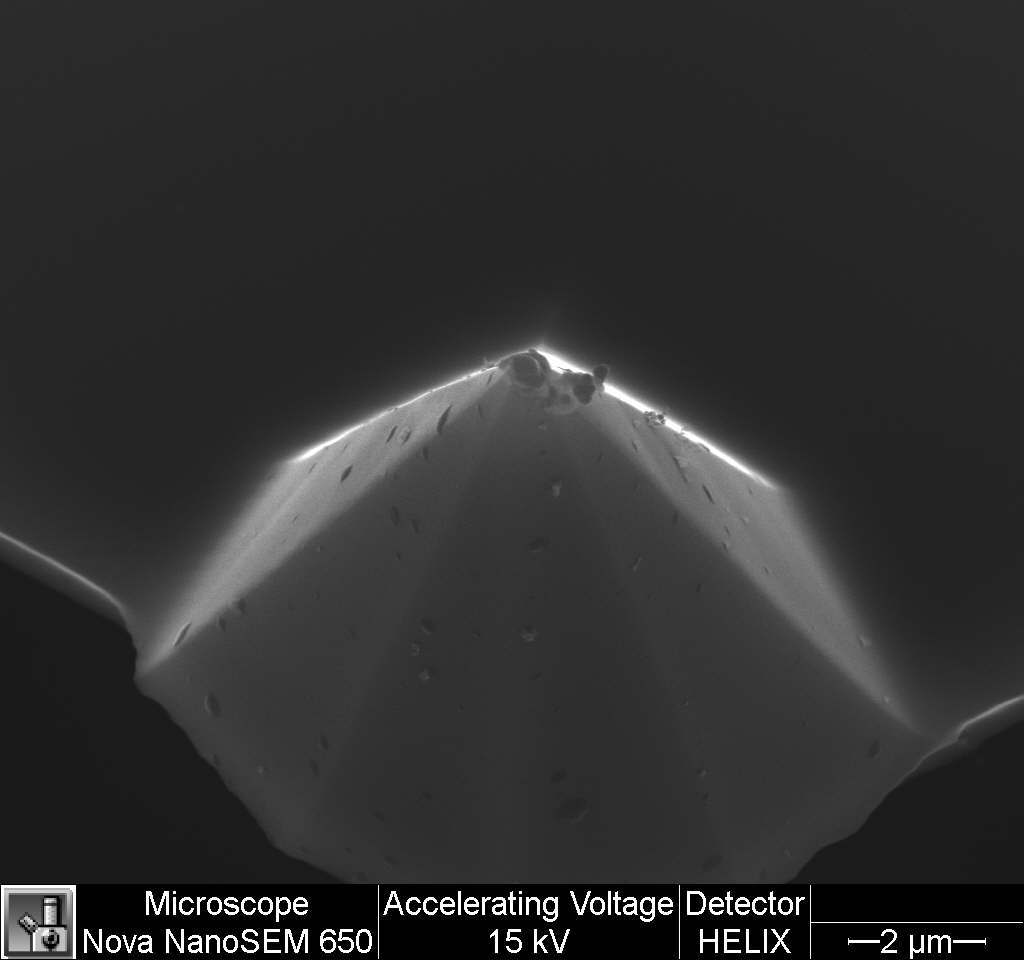 Cantilever. - My, Electron microscope, , My, Longpost