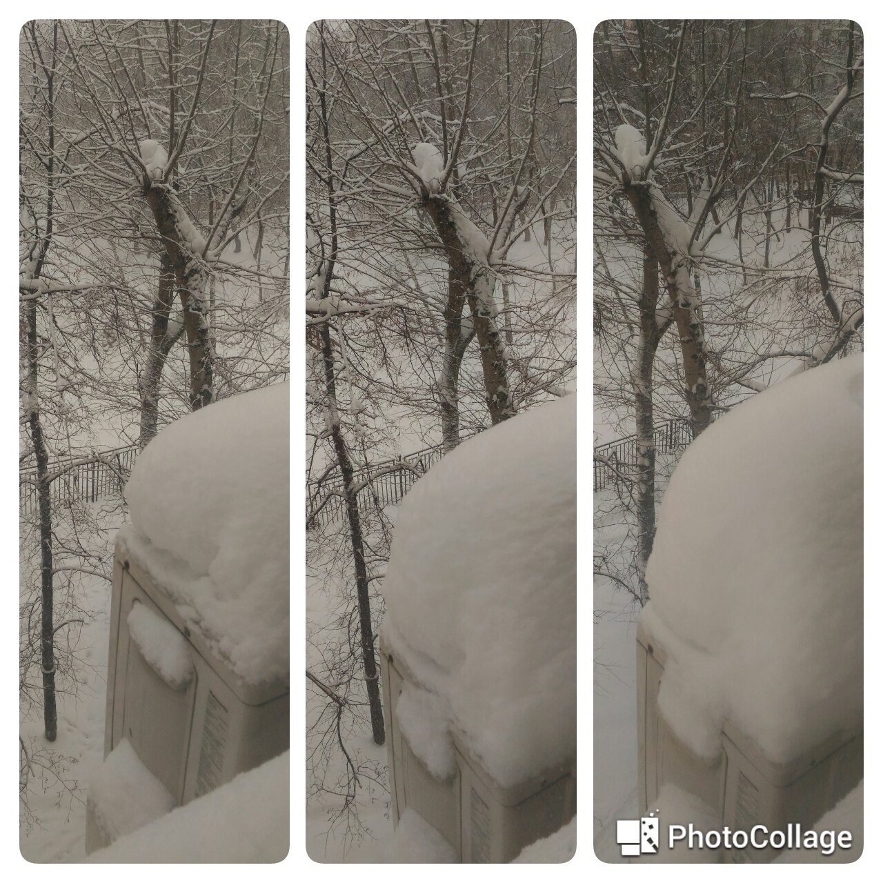 How much snow fell - My, Snow, Snowfall, 