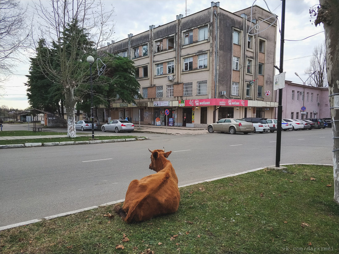 Abandoned in Abkhazia part 2 - My, Urbanphoto, Abandoned, Abandoned place, Abkhazia, Apsny, Abandoned, , Longpost