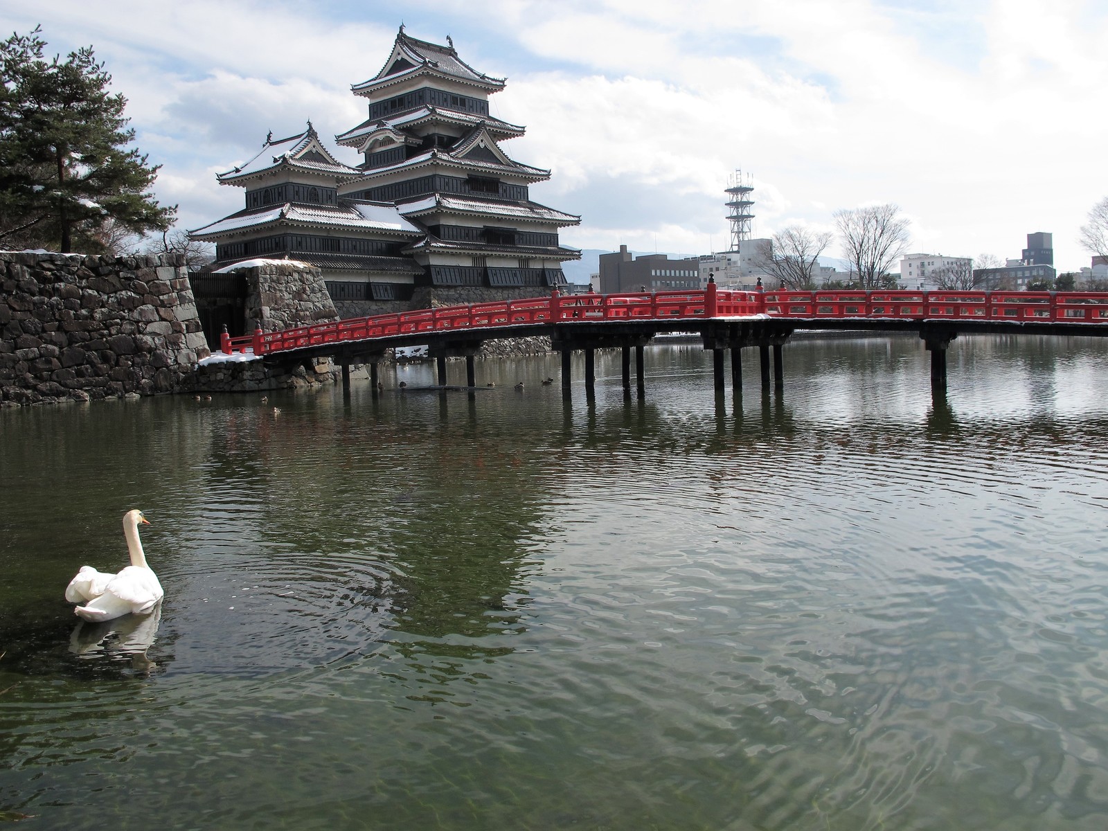 Matsumoto, Nagano, Jigokudani Snow Monkey Park - My, Japan, Travels, Longpost