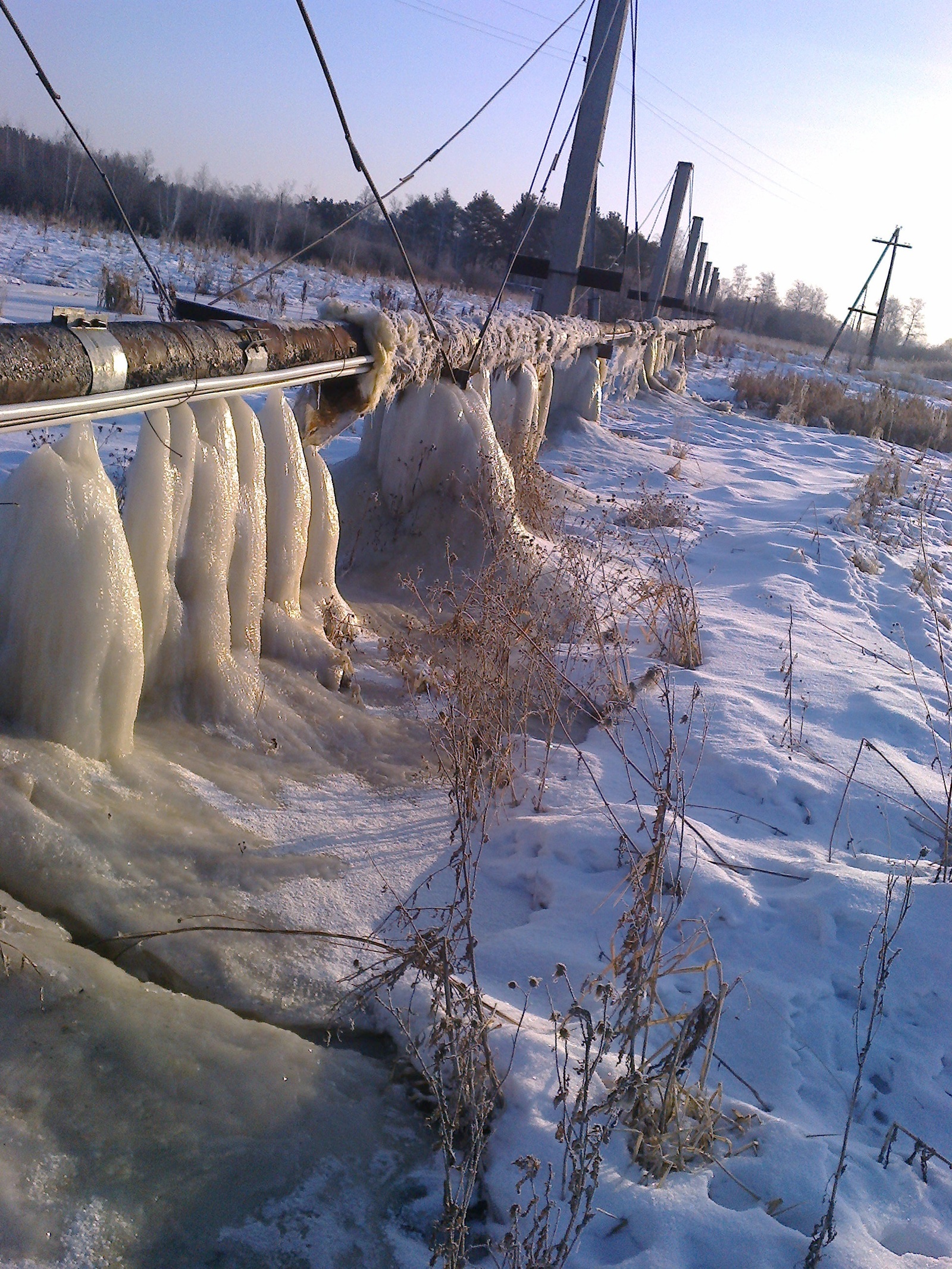 Official apathy - My, Officials, Indifference, Help, Pipe, Garbage, Trash heap, Ural, Sverdlovsk region, Video, Longpost