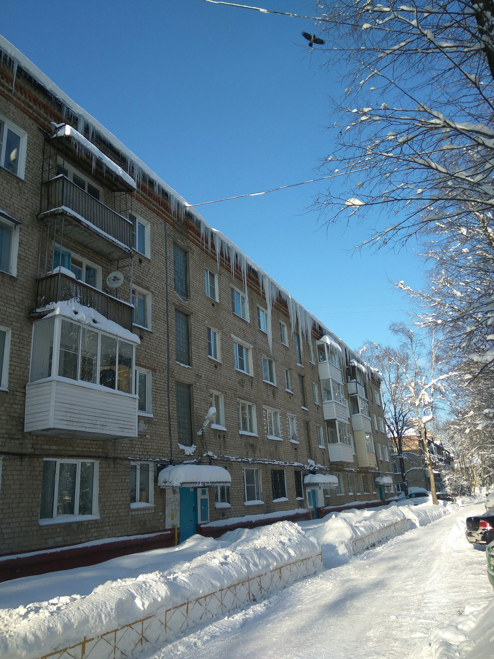 Sosuli or until the first dead - My, Utility services, Sergiev Posad, Snowfall, Winter, Icicles, Longpost