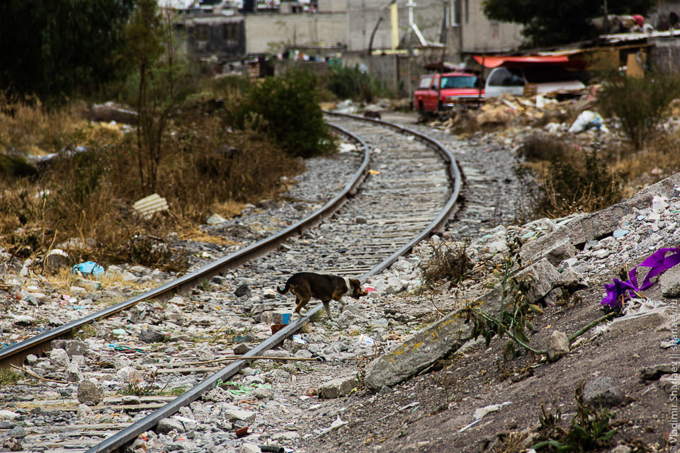 Мексика. Cuidad de Basura - Моё, Мексика, Фотография, Путешествия, Свалка, Длиннопост, Мусор, Экскурсия, Люди