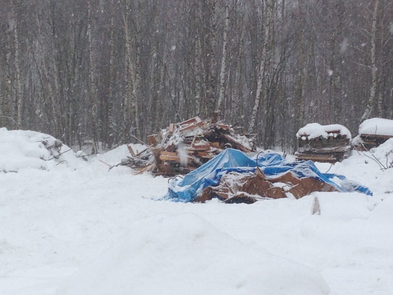 Landfill in Povadino / Moscow region / Solnechnogorsk district / Pikabu power - My, , , Solnechnogorsk, , Dump, Snow, Longpost