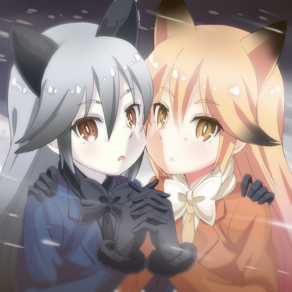 Gingitsune & Kitakitsune
 - Anime art, Anime, Kemono friends, Longpost, Ezo Red Fox, Silver Fox