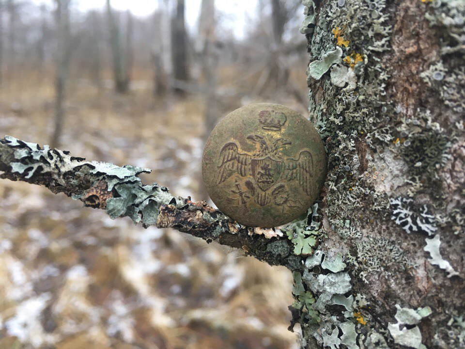 Three days went in search of treasure - My, Search for coins, Searching for gold, Treasure hunt, Metal detector, Treasure hunter, Nature, Forest, Time travel, Video, Longpost, Gold