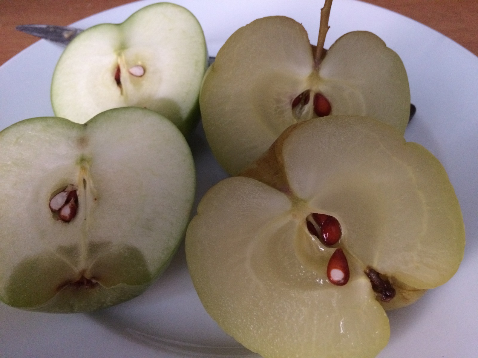 plastic apples - My, Soaked apples, What we eat