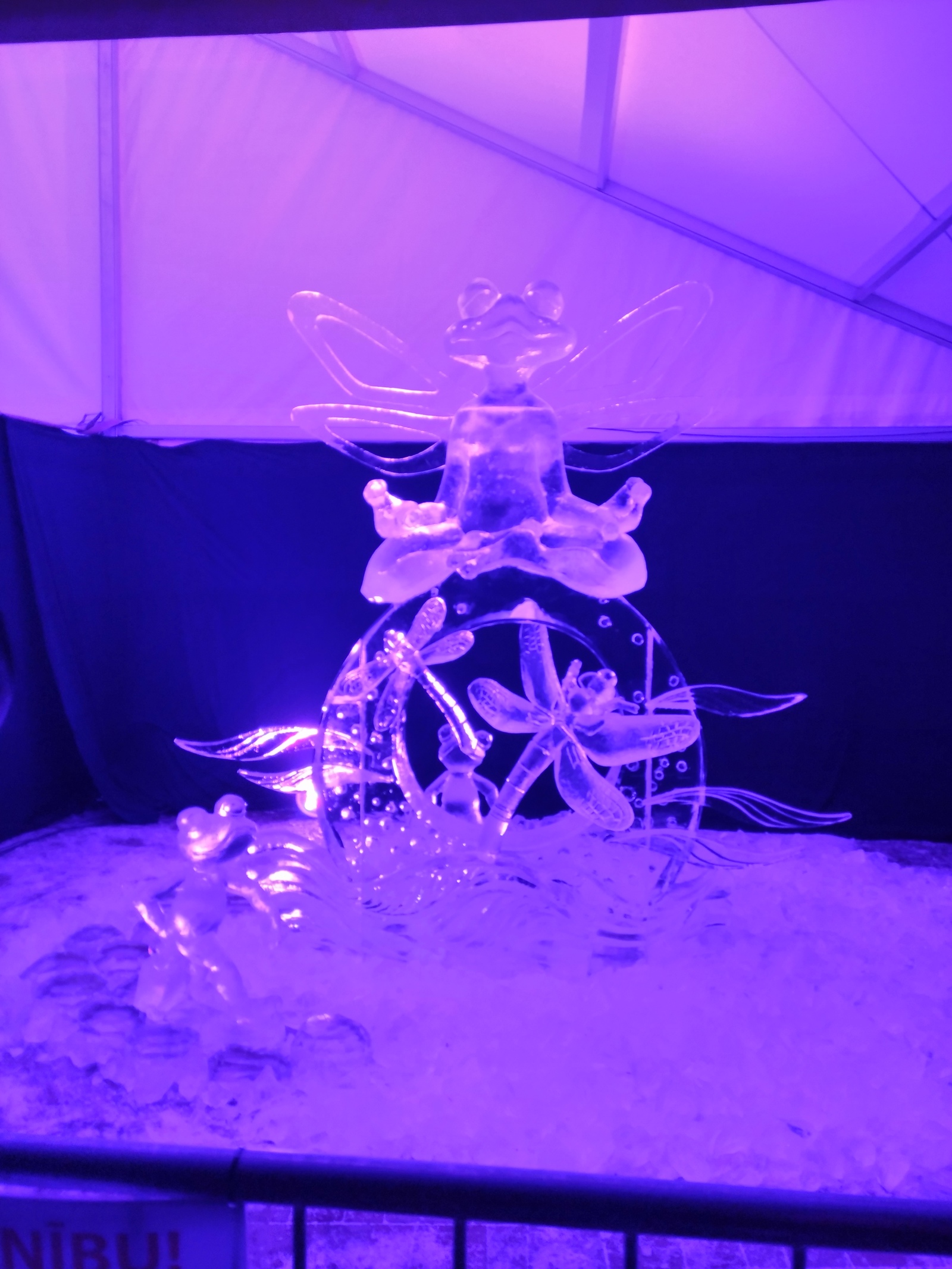 Ice sculptures - My, Ice sculpture, , Longpost