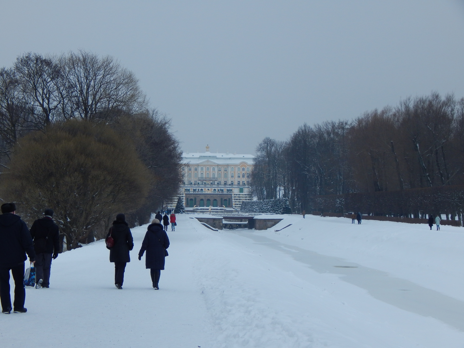 Петергоф зимой - Моё, Петергоф, Санкт-Петербург, Фотография, Длиннопост