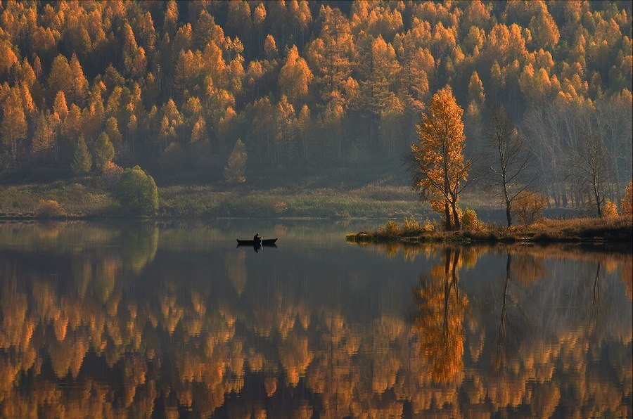 Мгновение. - Фотография, Насекомые, Природа, Длиннопост