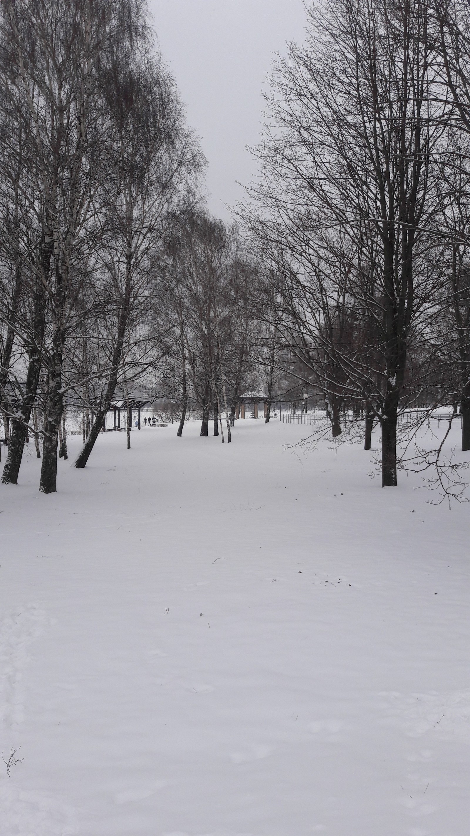 Walk in the winter park - My, Mobile photography, Samsung Galaxy a5, Photo on sneaker, Minsk, Winter, Longpost