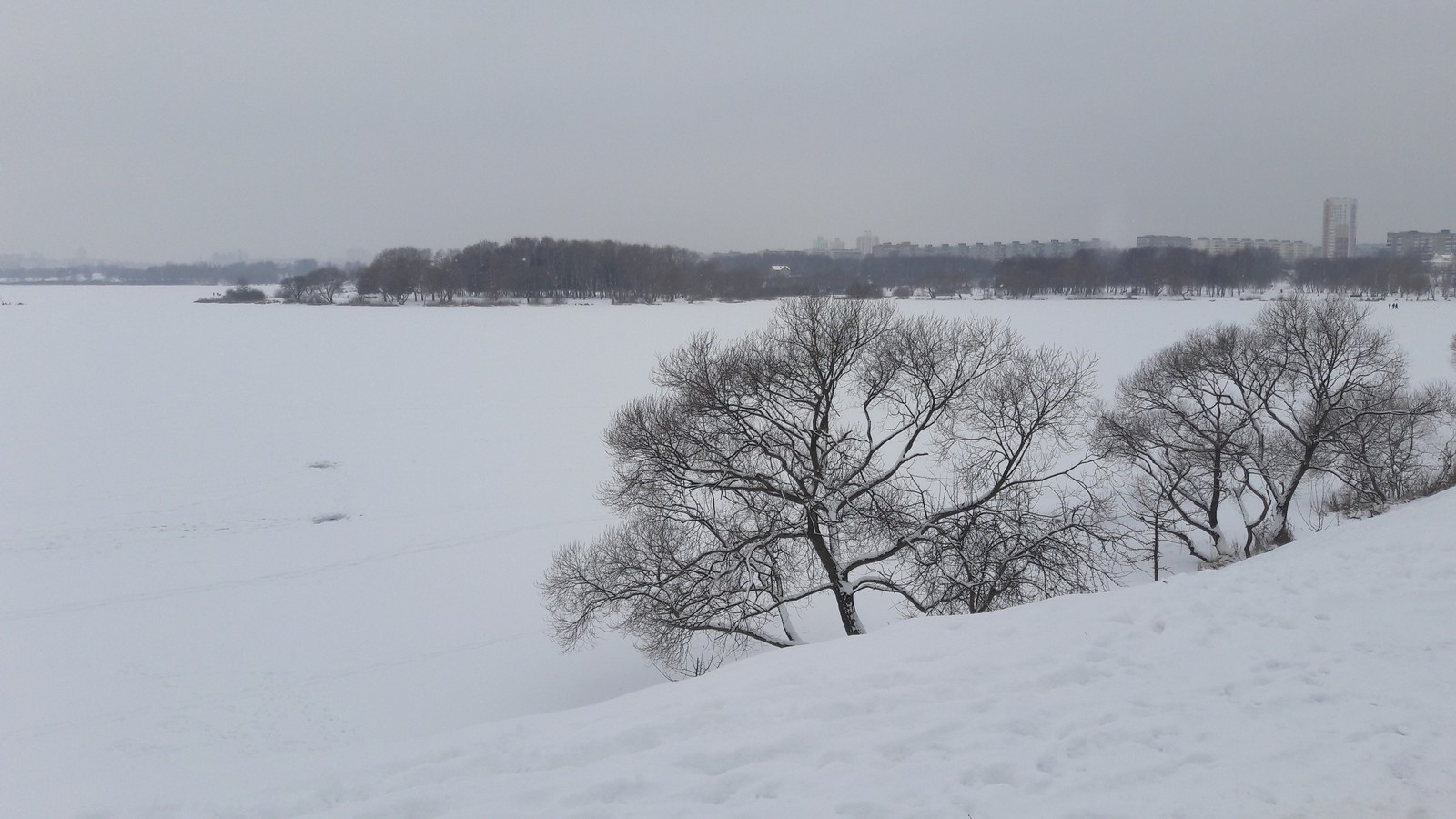 Walk in the winter park - My, Mobile photography, Samsung Galaxy a5, Photo on sneaker, Minsk, Winter, Longpost