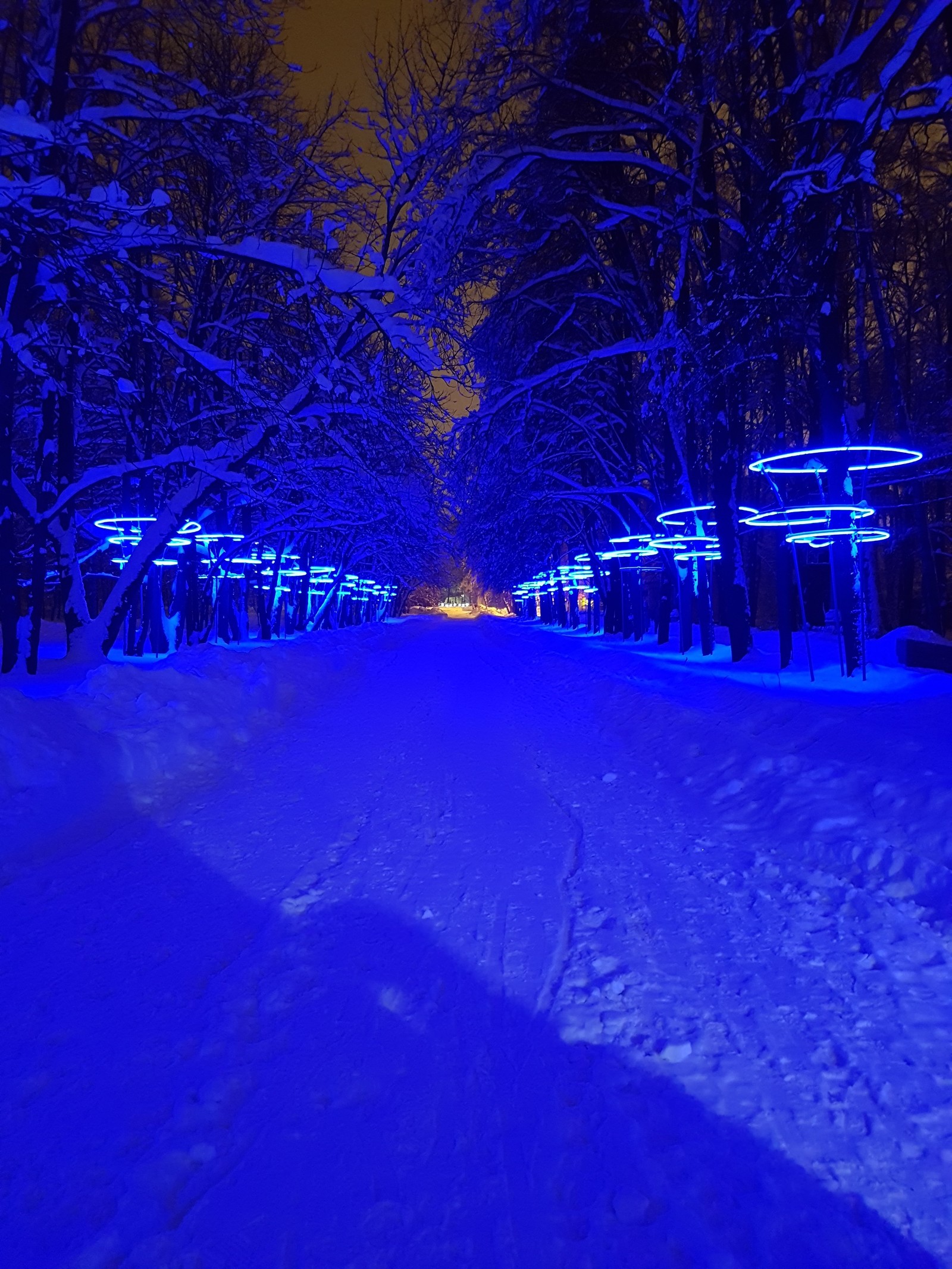 Парки Москвы Фото Зимой