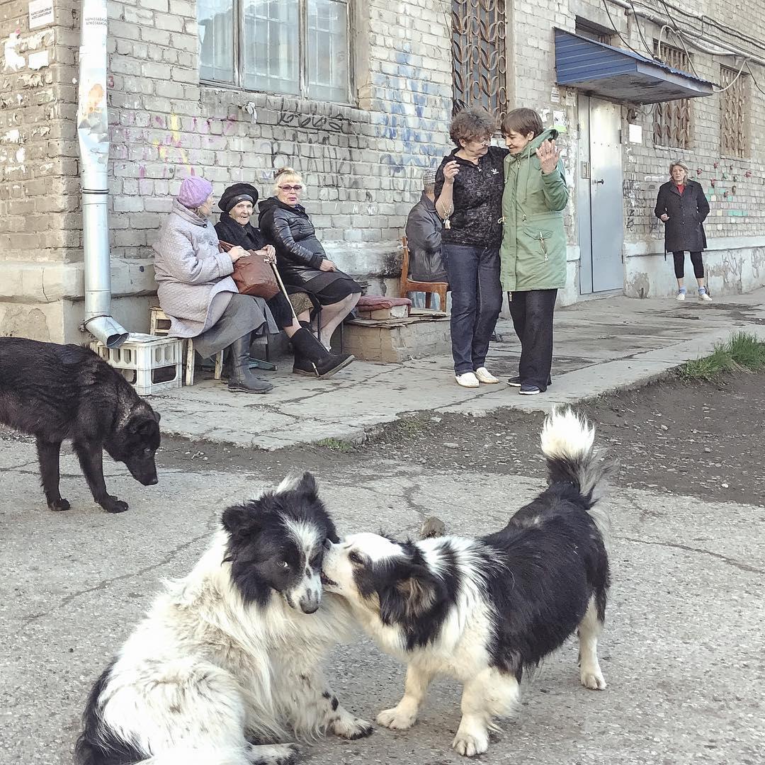 Russian provinces in the photographs of Dmitry Markov - The photo, Russia, Provinces, Hopelessness, Longpost