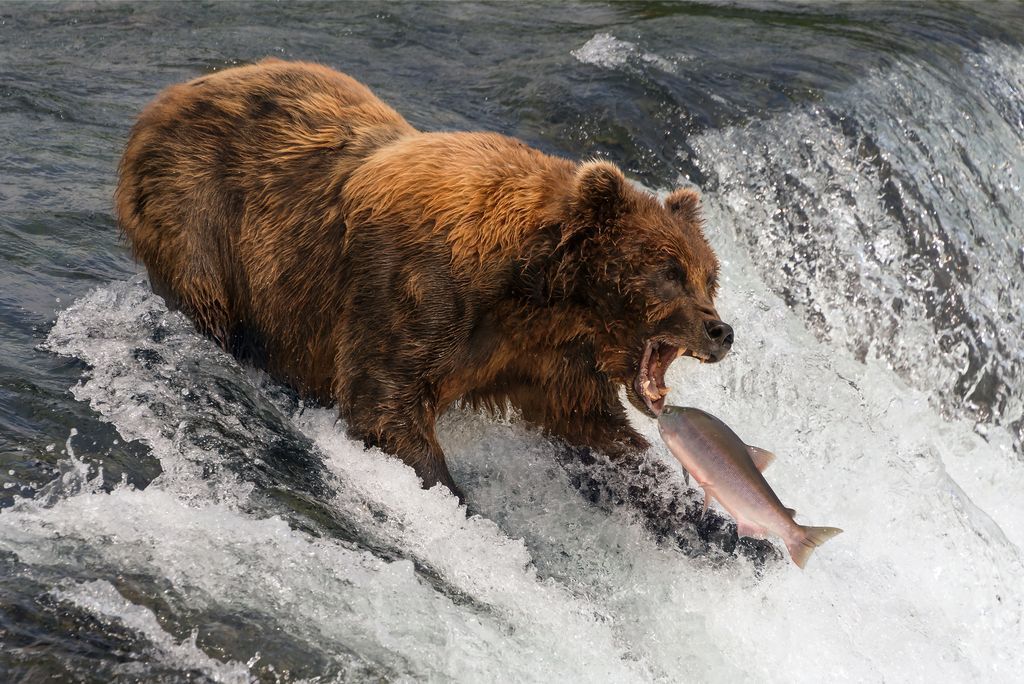 Simply gorgeous photos - The photo, The national geographic, Not mine, Longpost