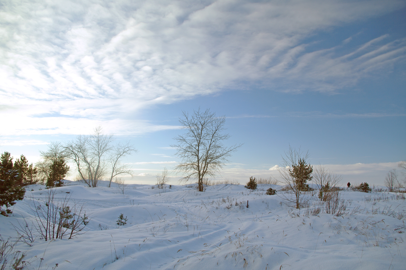 Frost and sun on the Gulf of Finland. - My, The photo, The Gulf of Finland, Saint Petersburg, freezing, Winter, Sestroretsky Resort, Longpost