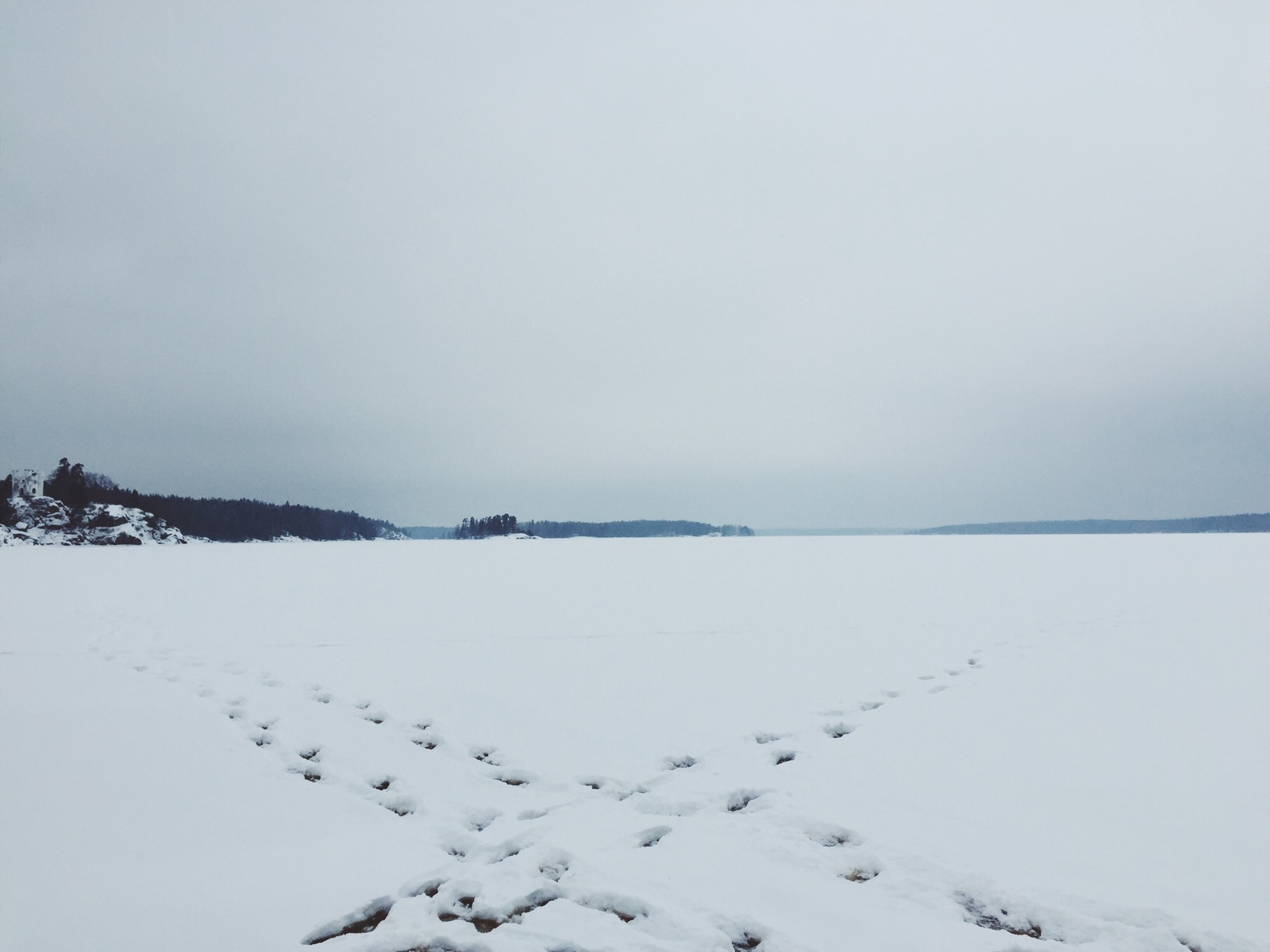 On a walk - My, Beginning photographer, Forest, The photo, Winter, Longpost