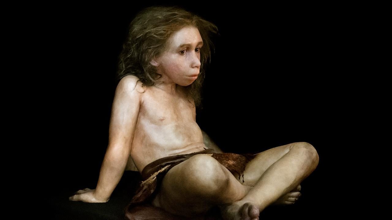 Reconstructions of Neanderthals. - Neanderthal, Paleontology, The science, Anthropogenesis, Longpost, People