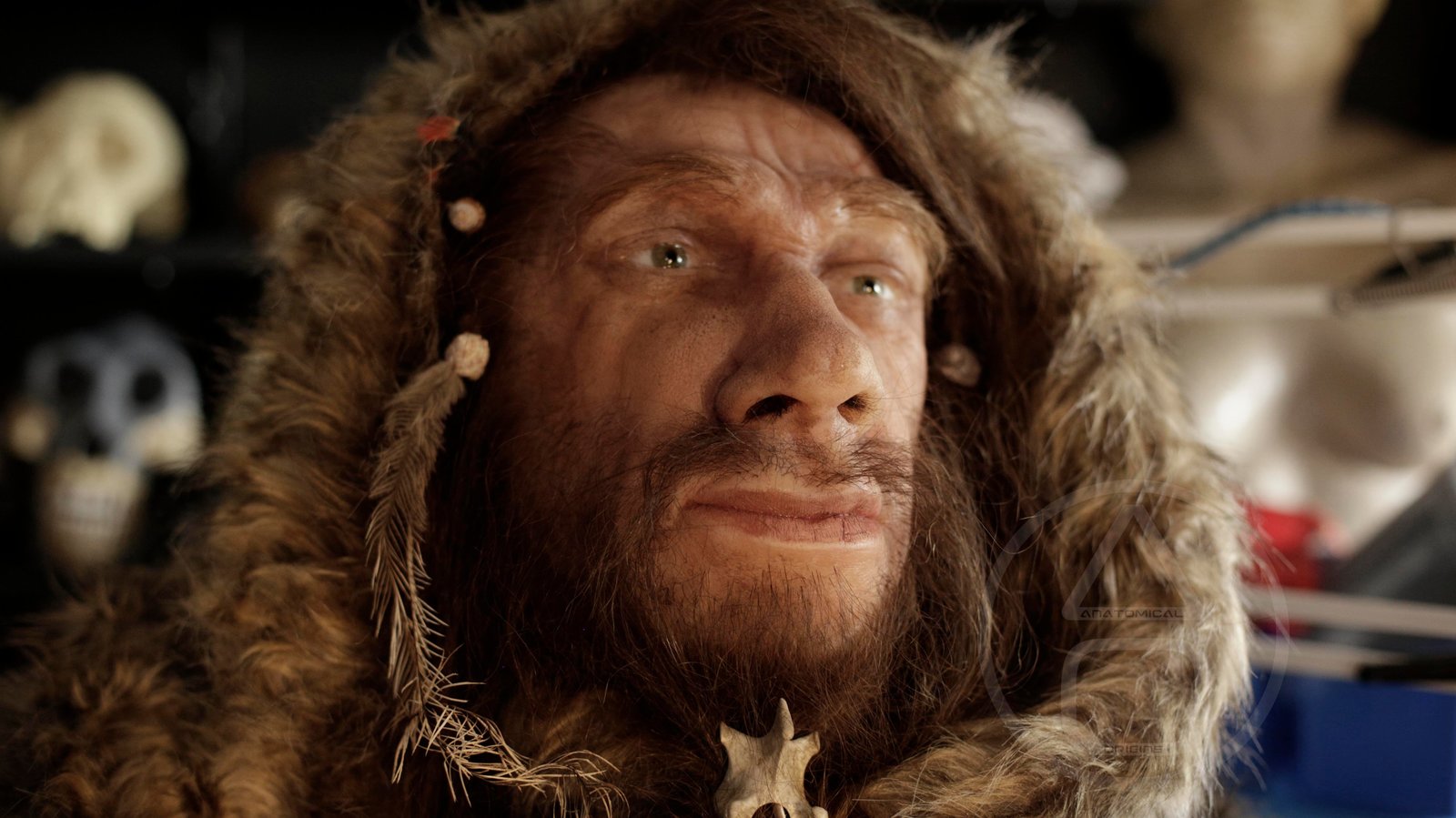 Reconstructions of Neanderthals. - Neanderthal, Paleontology, The science, Anthropogenesis, Longpost, People