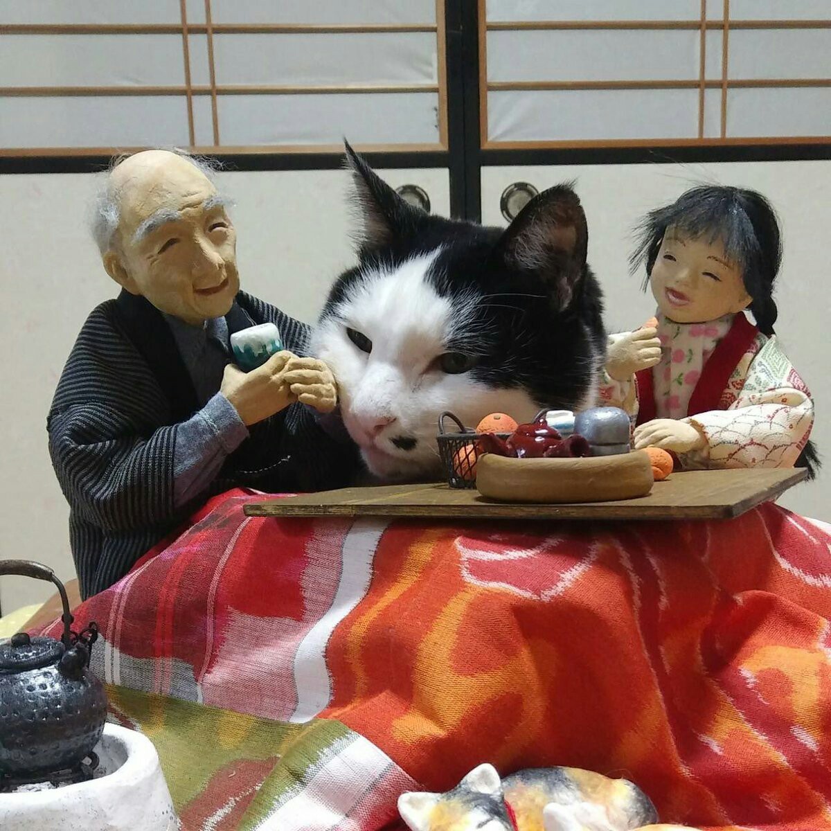 In a Japanese house with a cat - Japan, cat, Doll