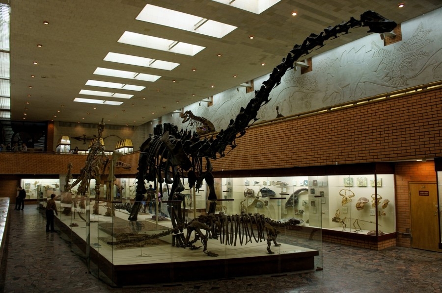 Amazing dinosaur museum - Museums in Moscow, Paleontology, Longpost