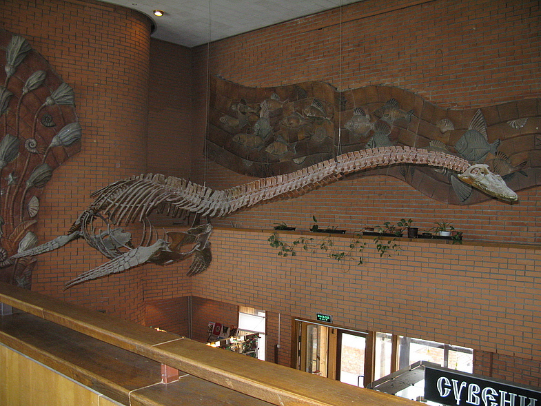 Amazing dinosaur museum - Museums in Moscow, Paleontology, Longpost