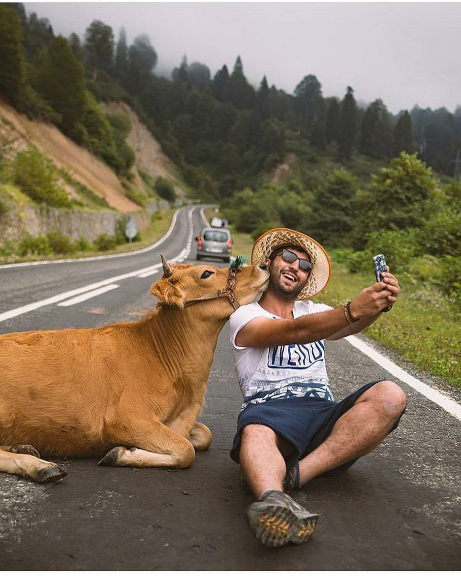 Всё про аватарки - Аватарка, Фотография, Идея, Длиннопост