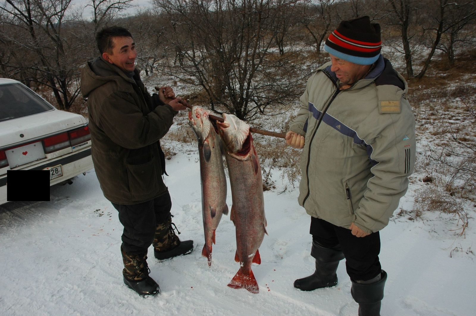 Ловись рыбка .... - Моё, Зимняя рыбалка, Рыба, Длиннопост