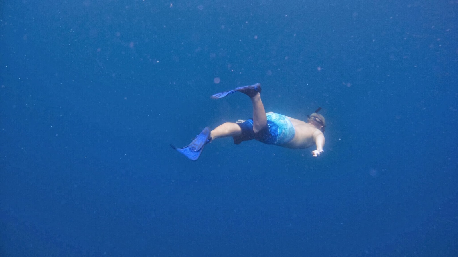 APNEA - My, Sea, Freediving, Trick, Longpost