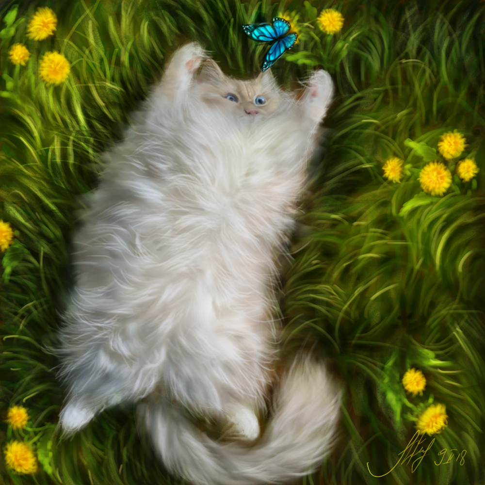 Cat - My, cat, Digital drawing, Drawing, Animals, Butterfly, Dandelion