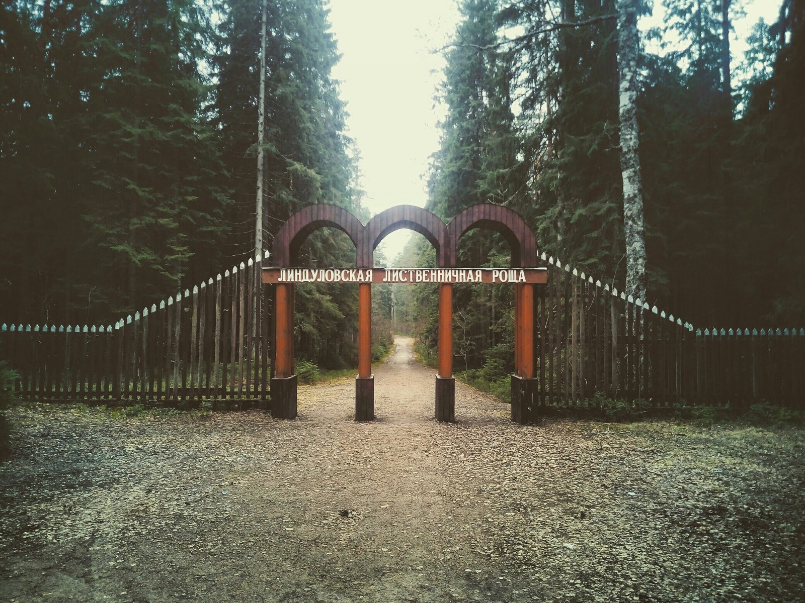 Autumn version of the gate to the Lindulovskaya grove - My, Lindulovskaya grove, Saint Petersburg, The photo, Nature, Leningrad region, Longpost