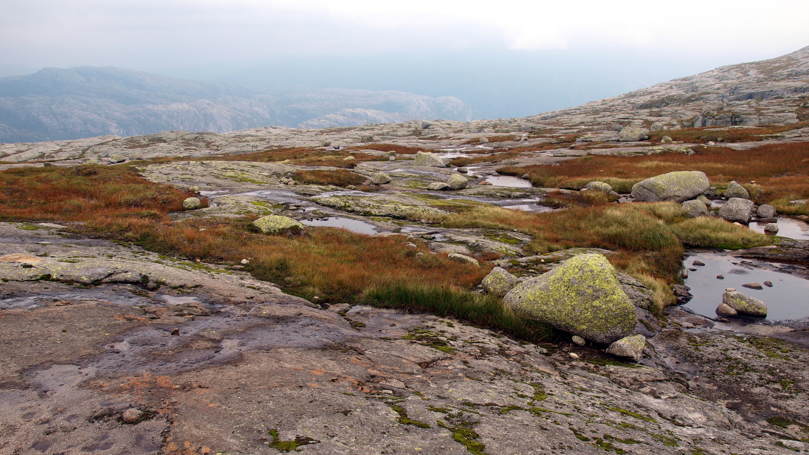 Traveling in Norway at the end of August 2016, photos, observations and biography of travelers. - My, Norway, Leisure, Road trip, Tourism, Nature, Landscape, Longpost